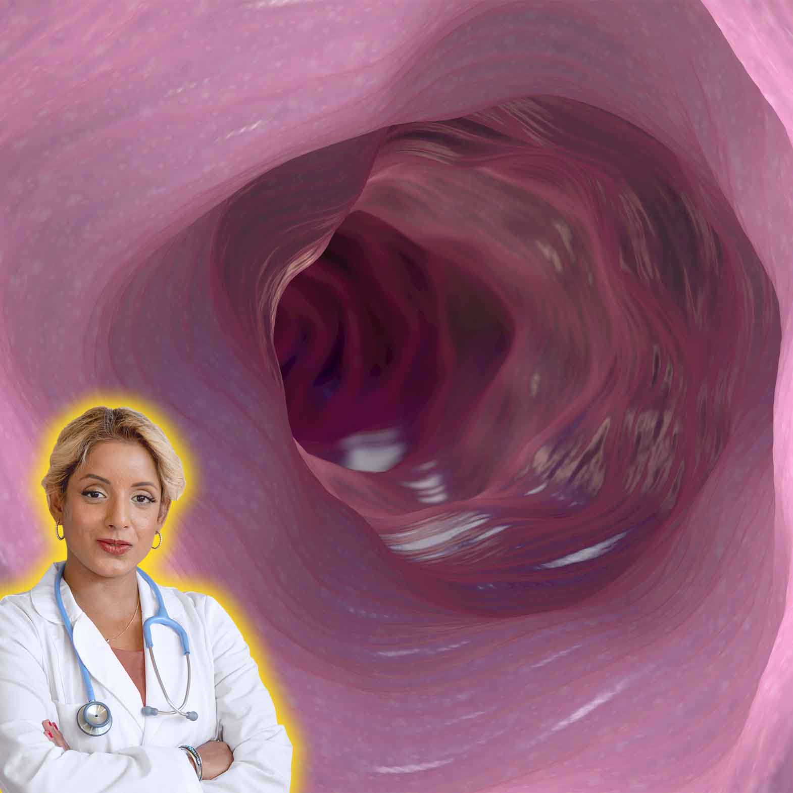 Digestion
